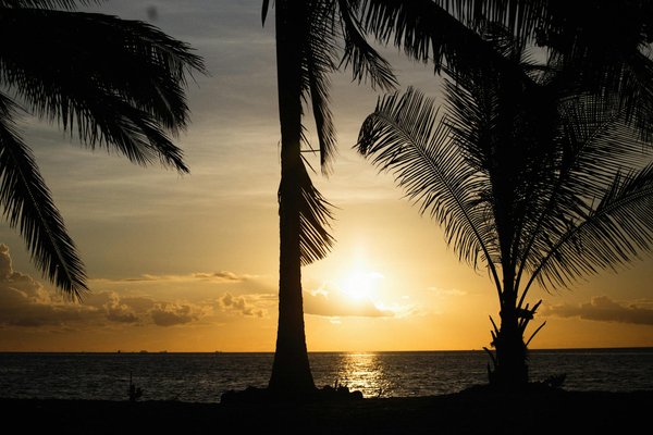 Quels sont les critères pour choisir une maison de vacances en bord de mer avec des cours de surf en Espagne?